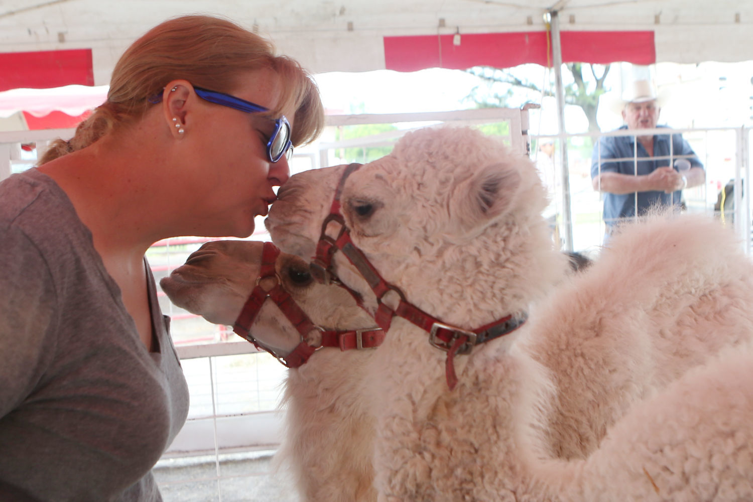 Salem Fair
